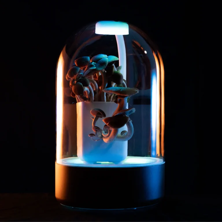 Terrashroom Shark Tank