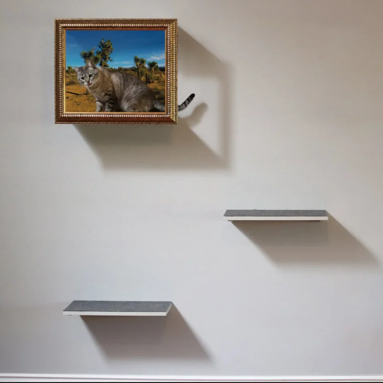 Frame Your Feline Shark Tank