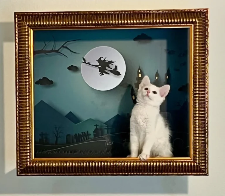Frame Your Feline Shark Tank