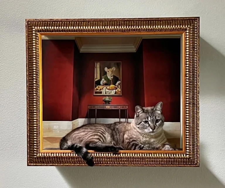 Frame Your Feline Shark Tank