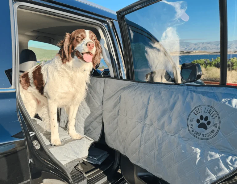 Ruff Liners Shark Tank